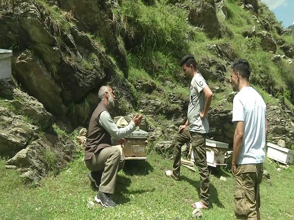 Jammu and Kashmir is witnessing rapid growth of beekeeping