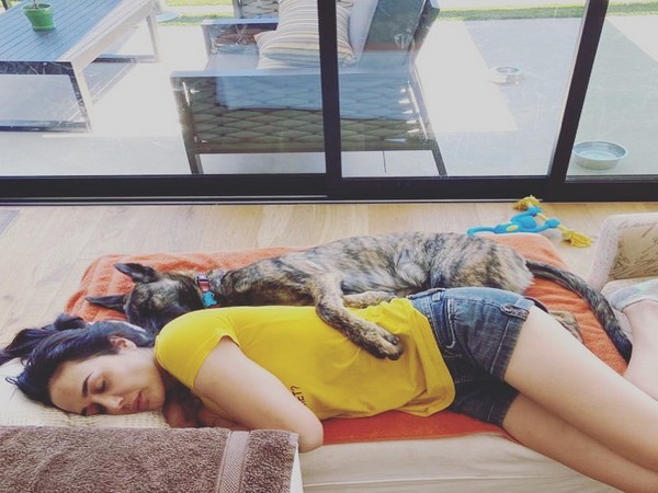 Preity Zinta (Image courtesy: Instagram)