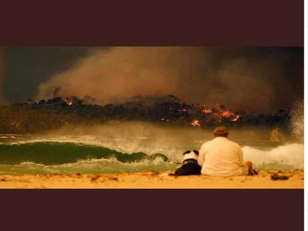 Australia bushfire (Photo/ David Warner Instagram)