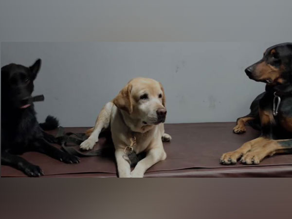 ITBP K9 Kabul heroes move to Chhattisgarh in AC First Class