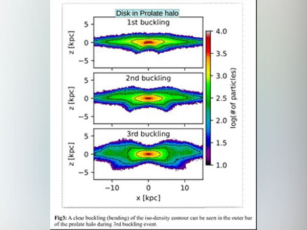 Motion of some stars holds clue of dark matter shape in barred galaxies
