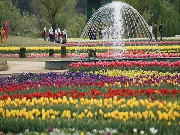 Fountain view at Indira Gandhi Memorial Tulip garden. (Source: Official website of District Srinagar)