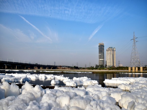 Foam in water near the bank of Yamuna river in Delhi's kalindi kunj area (File photo)