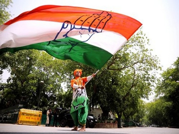 A supporter with Congress flag in New Delhi (File photo)