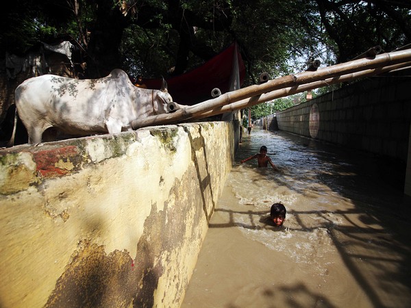 Children play in the floodwater as the water level of Yamuna river rises (ANI Photo)