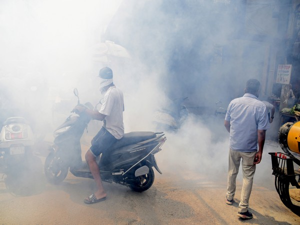  MCD worker fumigates residential areas as a precautionary measure (File Photo)