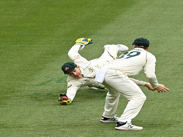 Australia skipper Tim Paine (Photo: cricket.com.au twitter)