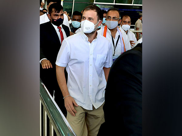 Congress MP Rahul Gandhi (File Photo)