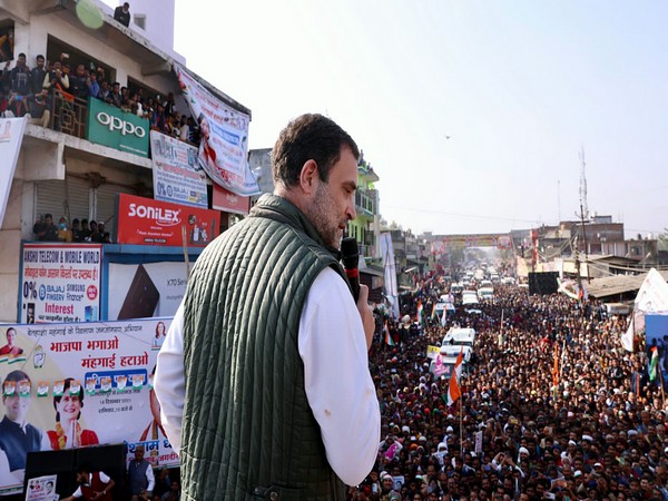 Congress MP Rahul Gandhi (File Photo)