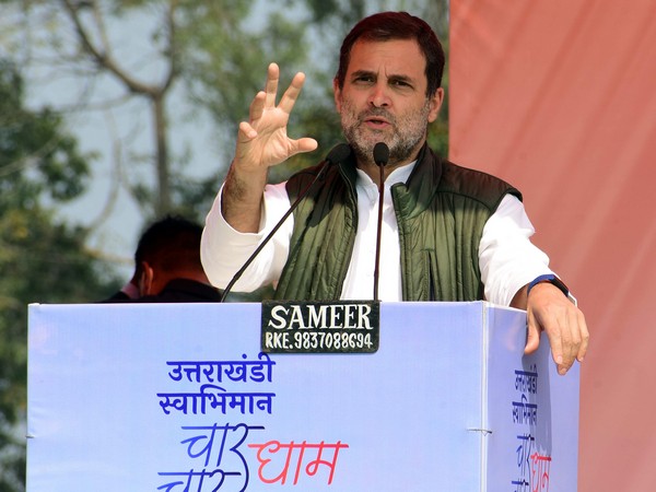 Congress MP Rahul Gandhi (Photo/ANI)