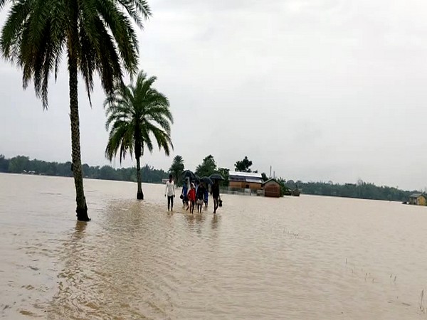  An area is waterlogged by the flood water following incessant rainfall, in Nagaon (Photo/ANI)