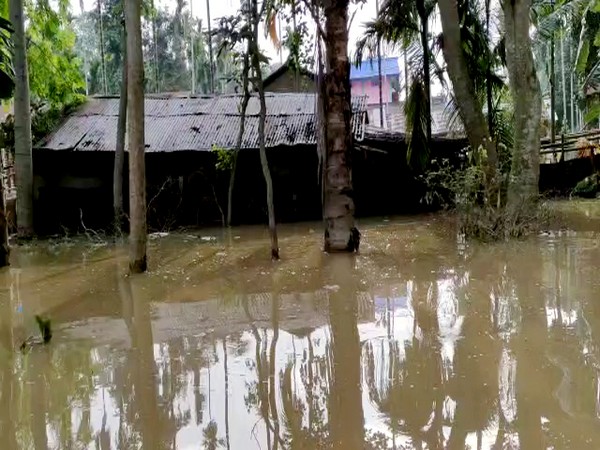 Area waterlogged in Assam due to heavy rainfall (Photo/ANI)
