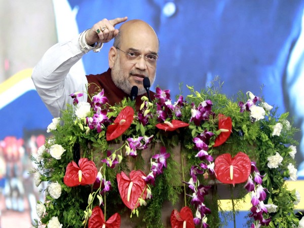Union Home Minister Amit Shah (File photo)