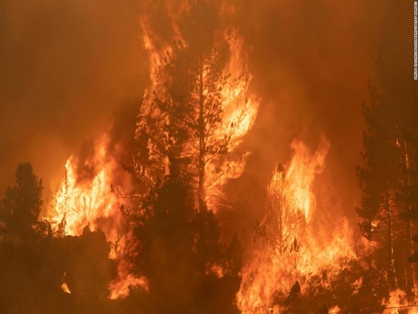 Tamarack Fire in the Californian city of Markleeville (Image Credits: CNN)