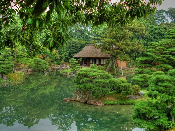 Researchers have found that living in a greener neighborhood is also associated with older age at the onset of menopause.