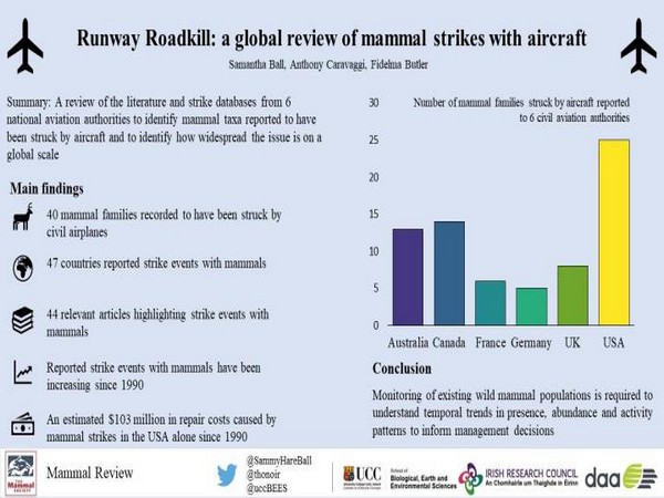 An infographic outlining data from the study (Image: Samantha Ball UCC)