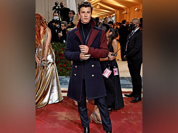 Shawn Mendes (Image Source: Instagram)