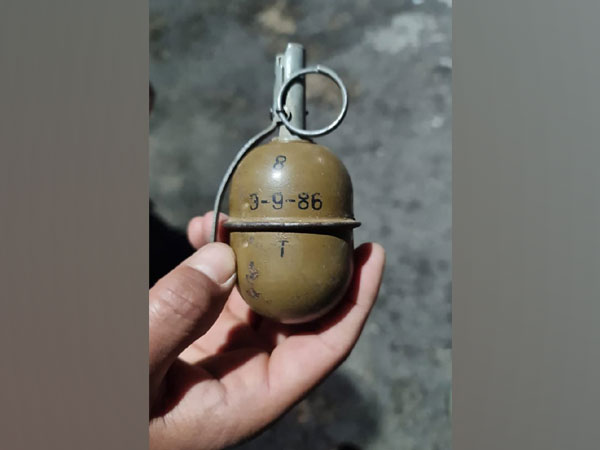The hand grenade seized by security forces. (Photo/ANI)