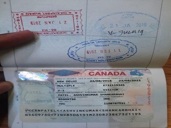 CISF nabs passengers with forged documents at IGI Airport