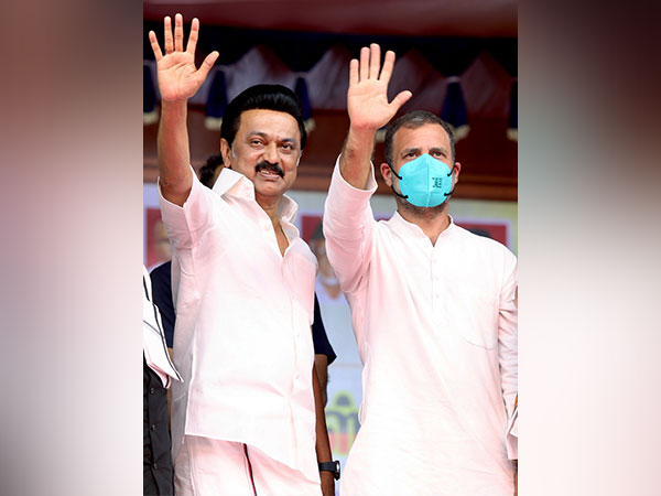 Congress leader Rahul Gandhi and Tamil Nadu CM MK Stalin. (File Photo)