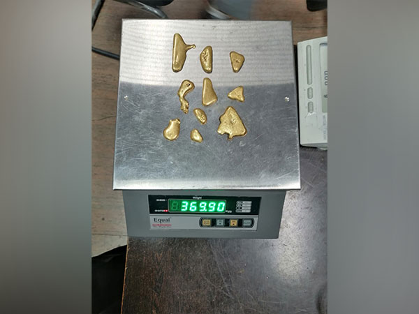 Extracted gold recovered from passenger at Jaipur airport (Photo/ANI)