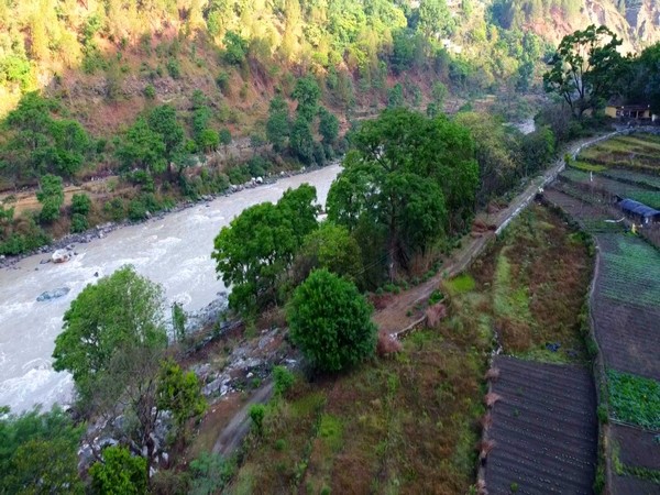  Organic farming, afforestation efforts by NMCG improve Ganga river's health (Photo/ANI)