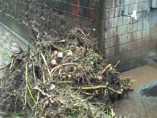 Visual of destruction from cloudburst in Himachal Pradesh