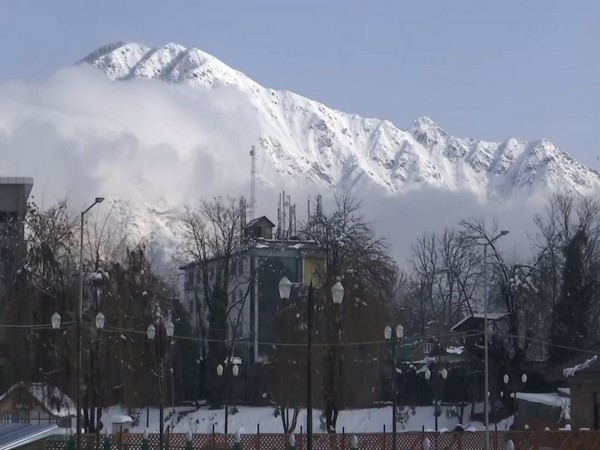 Tourism Department has arranged accommodation for stranded tourist