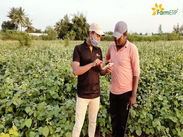 Field Officer advising a Smallholder Vegetable Farmer on suitable agricultural practices