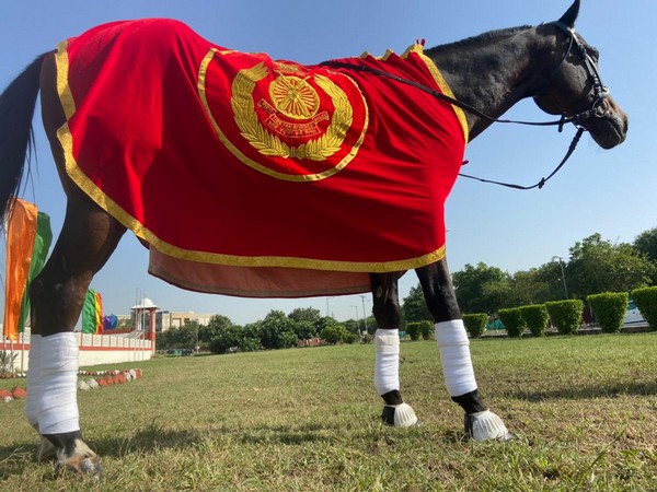 Champion Horse awarded ITBP AT medal for her scintillating show during National Equestrian Championships
