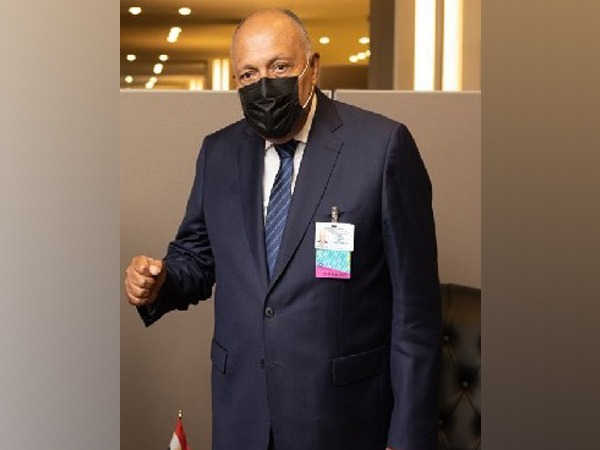 Egyptian Foreign Minister Sameh Shoukry 