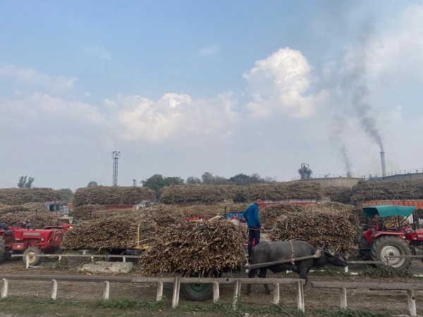 Visuals from Mawana in UP's Meerut district (ANI)