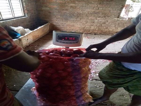 As of today, the team has procured 13 tonnes of sweet potato, 40 tonnes of tomatoes, 2 tonnes of cabbage, 3 tonnes of brinjal and 5 tonnes of carrot from farmers at Tamballapalle village.