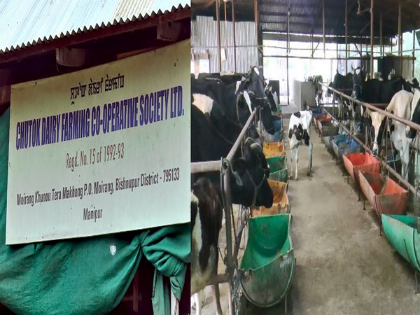 Chutok Dairy Co-operative Farming Society
