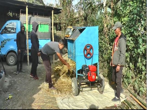 Low-cost threshing machine (Photo/ANI)