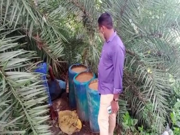 Police destroyed 3000 litres jaggery wash, seized 50 litres country liquor in Jaggampeta on Thursday. [Photo/ANI]