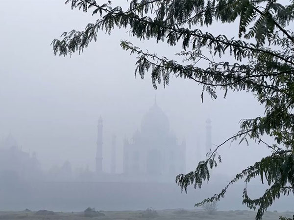 A thick layer of fog envelopes around Taj Mahal (Photo/ANI)