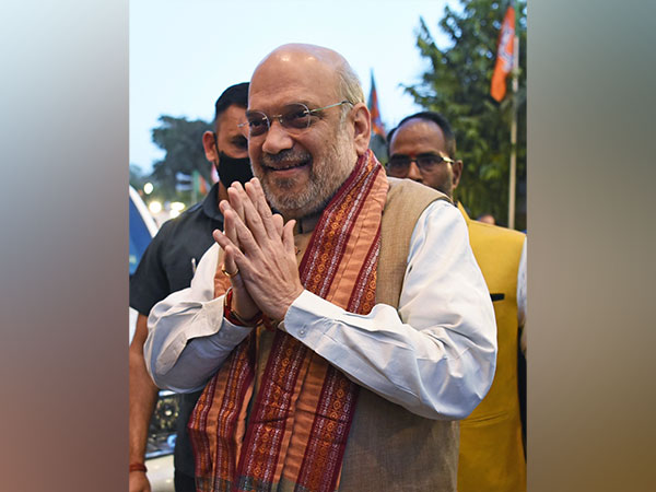 Union Home Minister Amit Shah (File Photo)