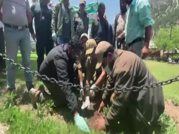 Indian Army launches plantation drive in J-K's Gurez (Photo:ANI)