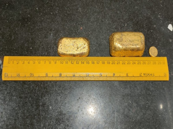 Visuals of the seized gold. (Photo/ANI)
