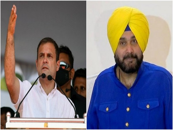 Congress leaders Rahul Gandhi and Navjot Singh Sidhu (Photo/ANI)