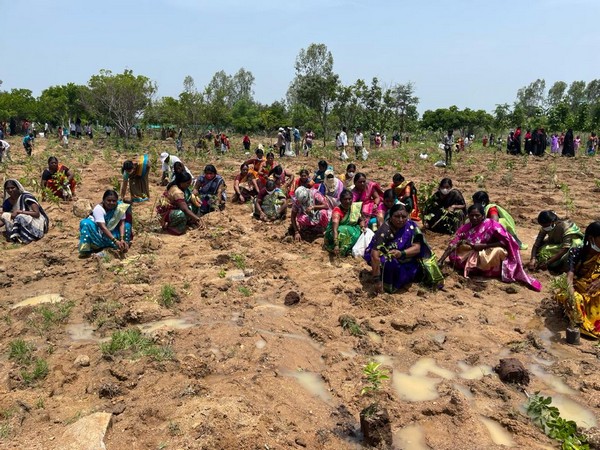 Volunteers planting saplings in Adilabad on Sunday. (Photo/ANI)