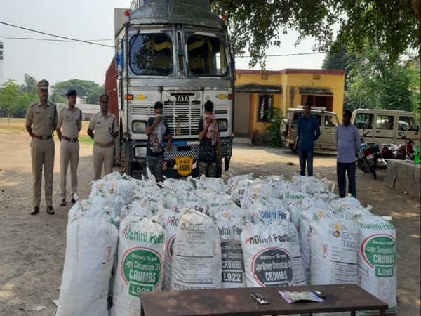 Two persons were arrested with 1500 kg cannabis in Malkangiri on Tuesday. Photo/ANI