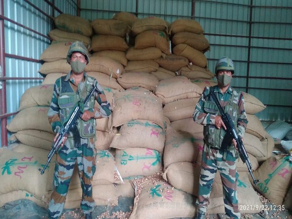 Seized 240 bags of areca nuts 