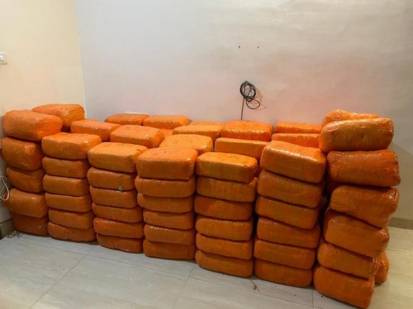 Over 3000 kgs of ganja seized by the DRI's Indore Zonal Unit.