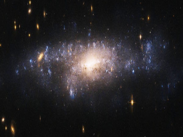 Dark matter in dark galaxies 