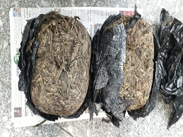 Image of the seized Marijuana. (Photo/ANI)