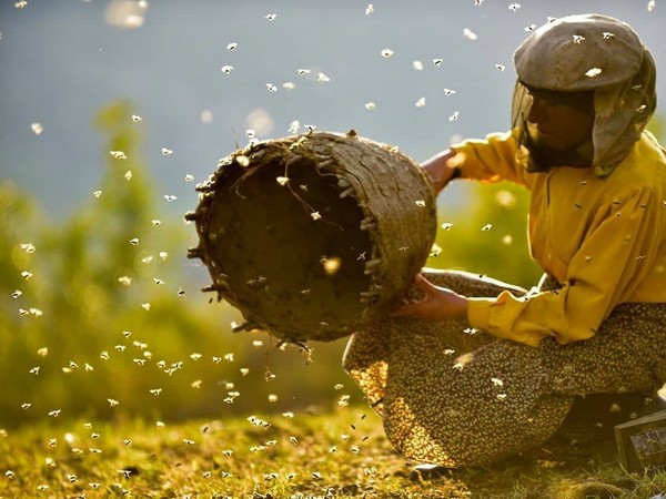 A still from the movie 'Honeyland' (Image courtesy: Instagram)