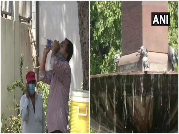 Birds gather around water fountain for relief from high temperatures. Photo/ ANI 