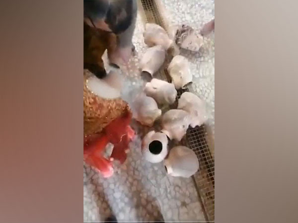 Taliban authorities recently issued an order asking shopkeepers to hack the heads off their mannequins because 